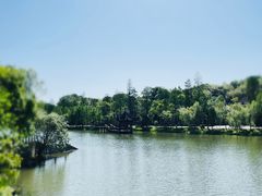 -常德桃花源景区