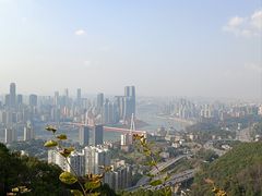 -南山植物园