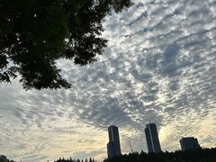 -囿面传统制面馆(中央路店)