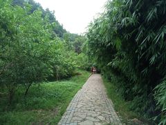 -贵阳市花溪国家城市湿地公园