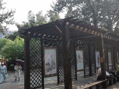 -莲花池公园