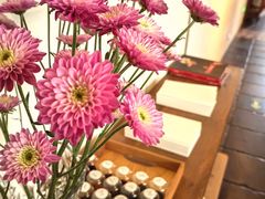 -瓦库茶馆17号(海汇港店)