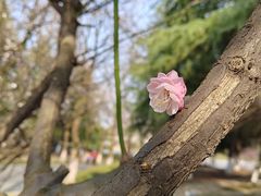 -白塘生态植物园