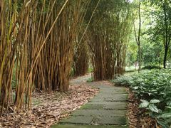 -峨眉山报国寺