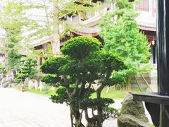 -乐山乌木文化博览苑