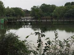 -新江湾城公园