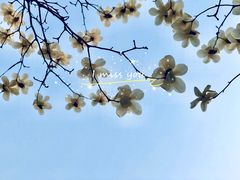 -首都师范大学科德学院