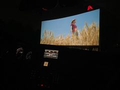 -枫花园汽车电影院(朝阳公园店)