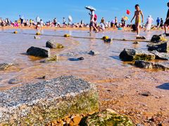 -巧克力渔家.小船海鲜胶东菜(万平口店)