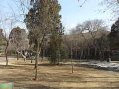 -山东农业大学(岱宗校区)
