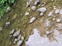 -重庆彩云湖湿地公园