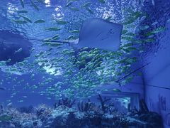 -上海海昌海洋公园