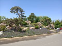 -罗红摄影艺术馆