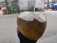 -东郊椰林