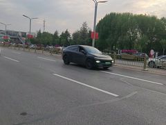 -曹州牡丹园