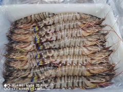 -新农都水产市场
