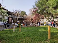 -西安青龙寺遗址景区