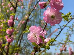 -长春公园(普阳街道)