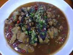 -全乐鱼馆·淳牌有机鱼直营店