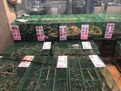 水产区-荔城生鲜盛宴(番禺旗舰店)