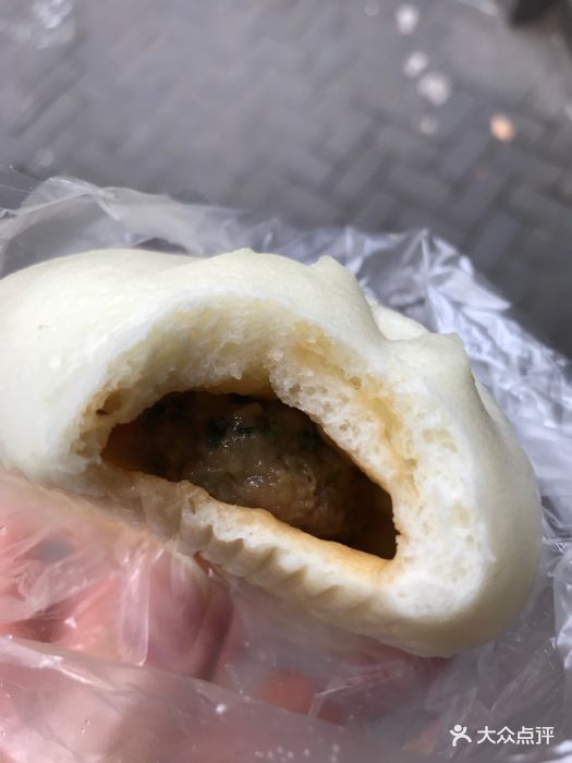 一品香包子荠菜肉包图片 - 第1张