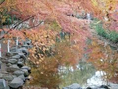 -西湖风景区十里琅珰-五云山
