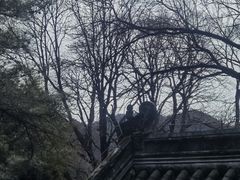 -潭柘寺景区