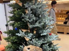 -海马体照相馆(万菱汇店)