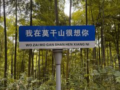 -莫干山风景区
