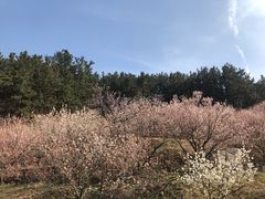 -崂山九水游览区