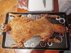 -九十九顶毡房(阜石路店)