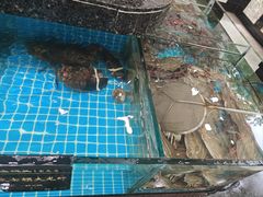 -渔码头食府(蓬莱阁店)