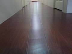 -佳雯宠物医院(四明中路分院)