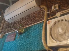 -树洞桌游宠咖小酒馆