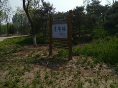 -东郊湿地公园