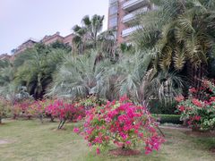 景点-白鹭洲公园