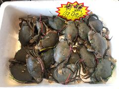 -四海蒸鲜蒸汽海鲜自助(北戴河店)
