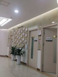 点击看大图 -新生植发·植养护一体