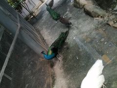 -厦门园林博览苑