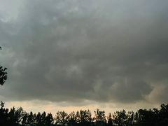 -上海市保健医疗中心