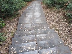 -午潮山国家森林公园