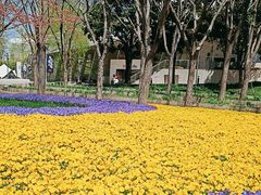 -克比叔叔印度餐厅Kebabs on the Grille(永康路分店)