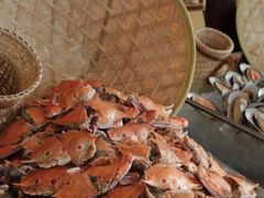 -视界美食自助餐厅·石家庄希尔顿酒店