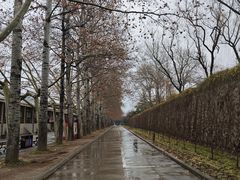 -秦始皇帝陵博物院(兵马俑)
