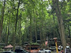 -凤栖山
