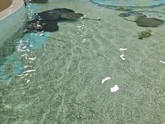 -台州海洋世界