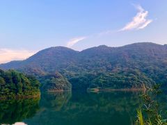 -广州市石门国家森林公园