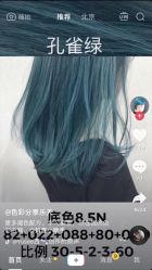 -T.1 hair salon烫染接发