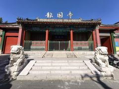 -报国寺