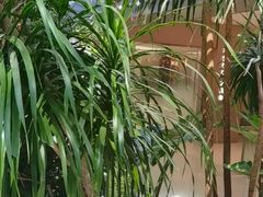 -枕水江南(铁西万象汇店)
